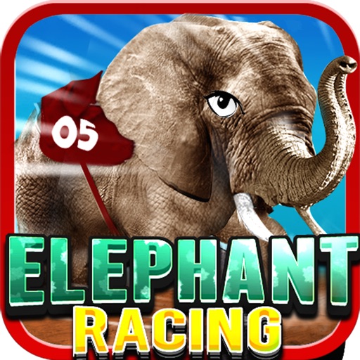 Elephant Racing