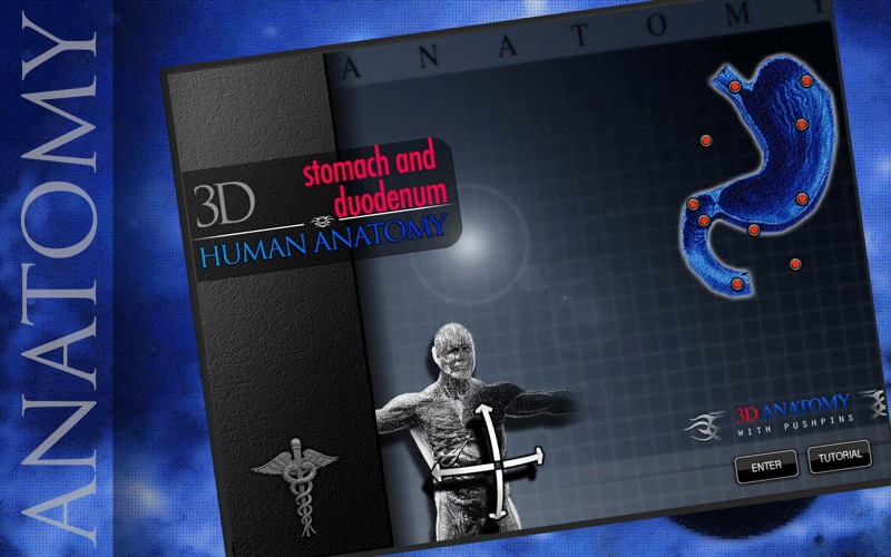 Stomach and Duodeno thumbnail 1