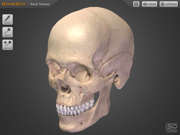 BoneBox™ - Skull Viewer