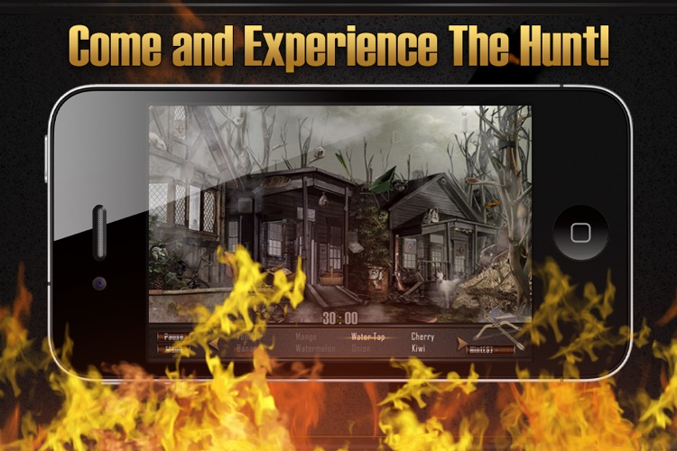 Hidden Objects: The Hunt
