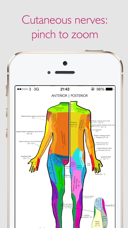 Dermatomes Pro 3D