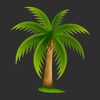 Palm World
