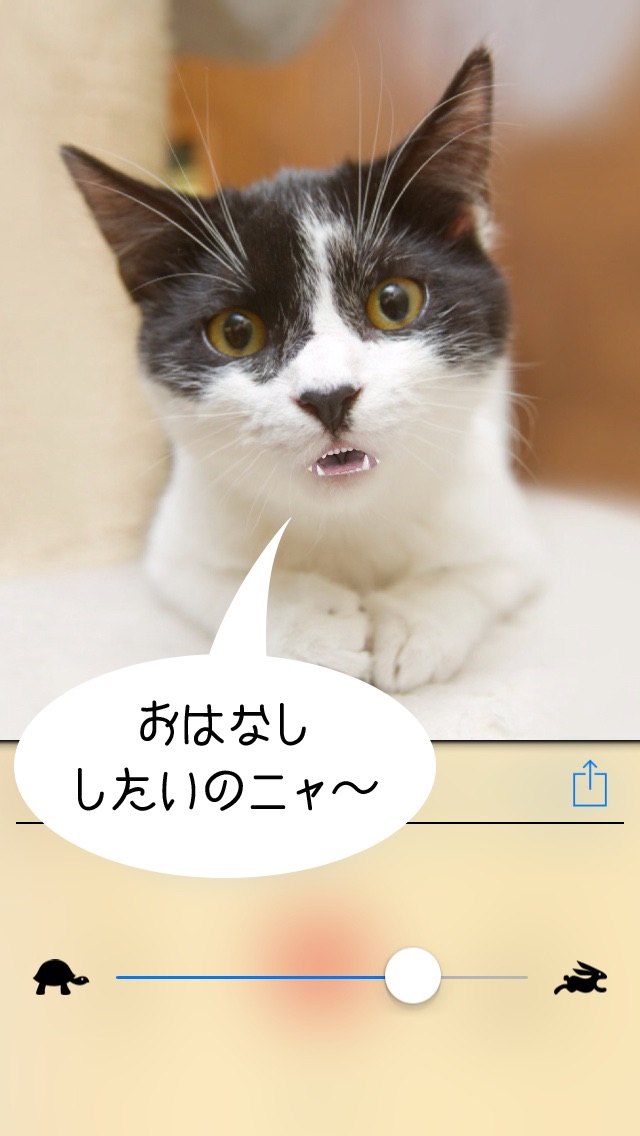 おしゃべりどうぶつ3D screenshot1