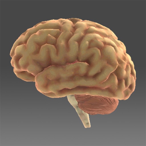Cerebro Icon