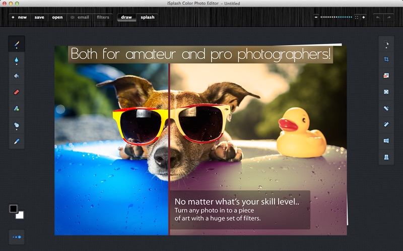 iSplash Color Photo Editor thumbnail 4