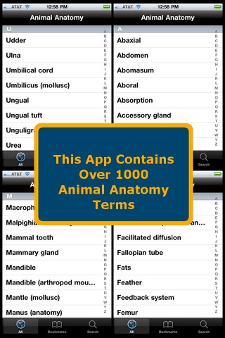 Animal Anatomy screenshot 4