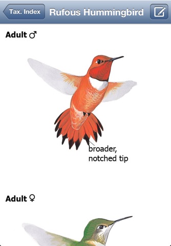 The Sibley eGuide to Birds screenshot 2