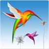 Colibri - create animated virtual and augmented reality worlds and share them with the real world!