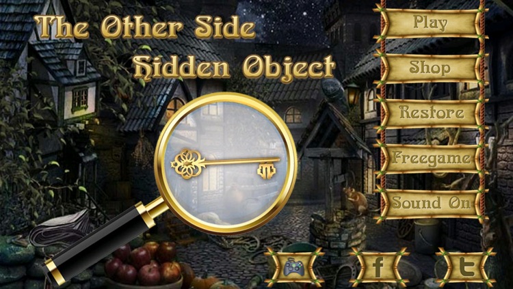 Hidden Objects: The Other Side