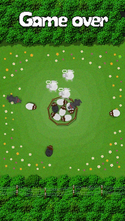 Sheep Shield screenshot-3