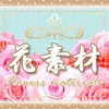 Flowers materials 花素材