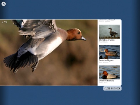 Birdinggame HD screenshot 2