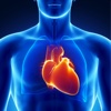 Learn Your Risk - Healthy Heart & Blood Vessels