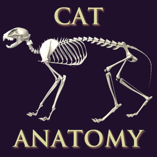 Bryan Edwards Cat Anatomy Flash Cards icon