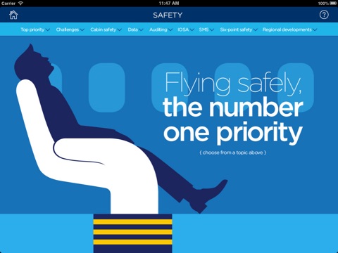 IATA Annual Review screenshot 3
