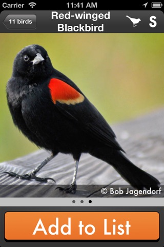 Birdeez: Easy Bird Identification Guide screenshot 3