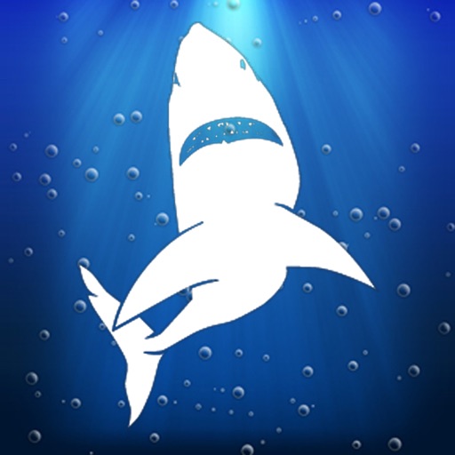 JAWS Converter icon