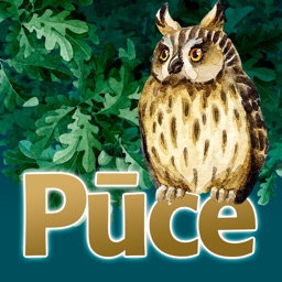 Pūce