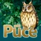 "The Owl" (Pūce) is a set of interactive tasks in the Latvian language , which continues the series of interactive teaching aids