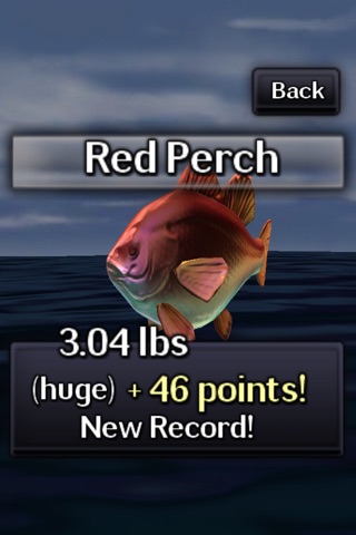 Dream Fisher (Fishing) screenshot 3