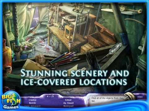 Mystery Stories: Mountains of Madness HD (Full) screenshot 2