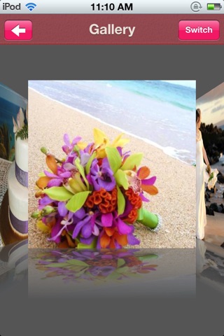 My Maui Wedding screenshot 4