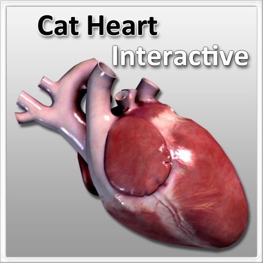 Cat Heart Interactive icon