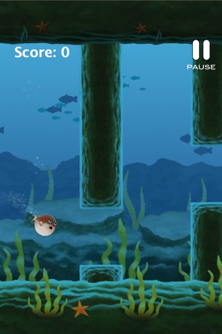 Puffy Blowfish screenshot 3