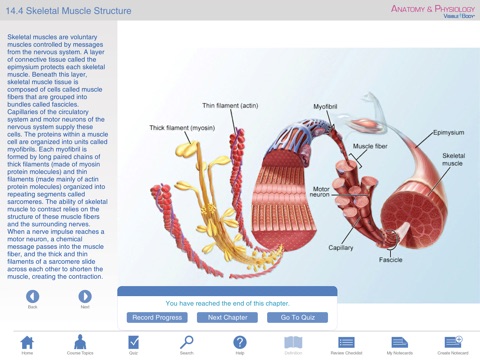 Anatomy & Physiology for Springer (Anatomie & fysiologie voor Springer) screenshot 4