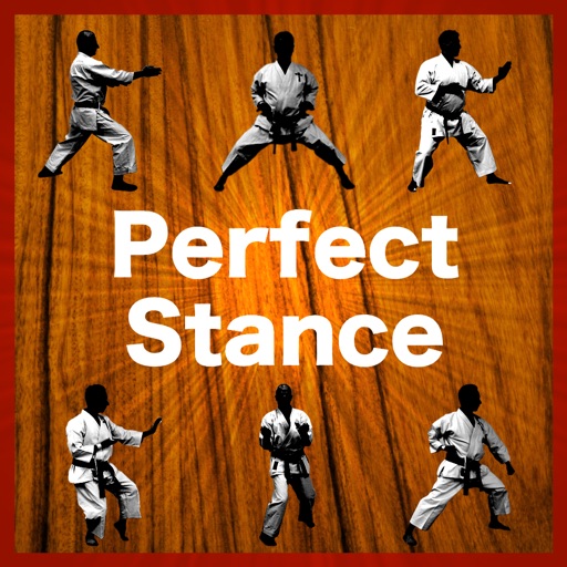 Perfect Stance icon
