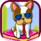 Dog Cake Bouncing Mania - Puppy Bounce Cupcake Jump Pro