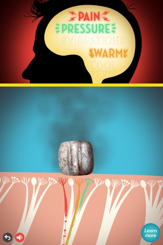 Touch: The Neuroscience Of Our Senses screenshot 2