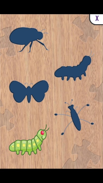 Bugs Toddler Preschool