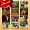 12 Animated Horse Puzzles All in One Game! Great Animal Photo Animation Puzzles With Horses and Ponies For Children & Riding Lovers! Many Games, Best Deal! Interactive Challenge For Kids To Learn Logical Thinking with Fun