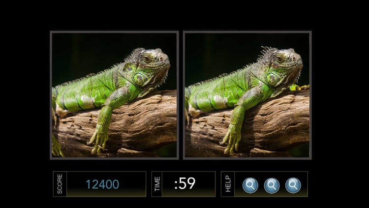 Spot the Difference Image Hunt Game - Gold Edition screenshot-4