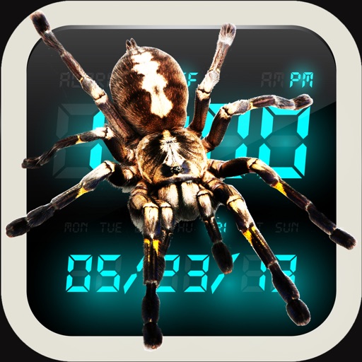 SPIDER CLOCK