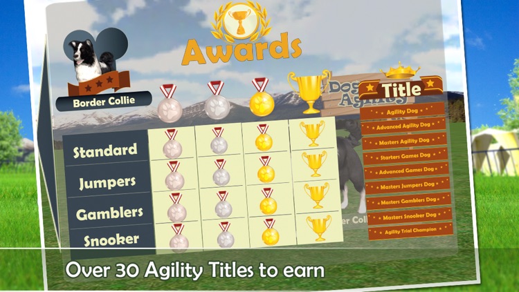 Dog Agility 3D screenshot-3