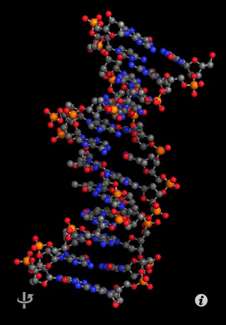 Molecules screenshot-0