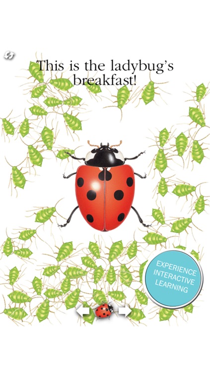 Scholastic First Discovery: Ladybug for iPhone