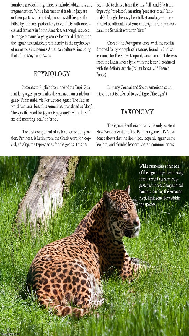 Zoo Magazineのおすすめ画像3