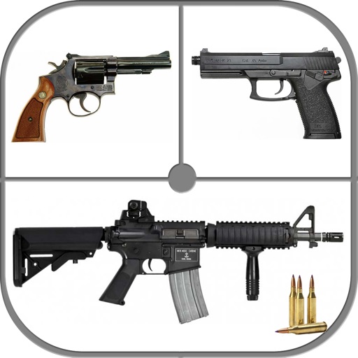 Guess the Gun - Quiz for Weapon Lovers icon