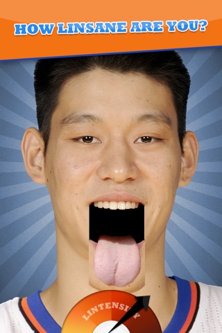 Linsanity! Free screenshot 2