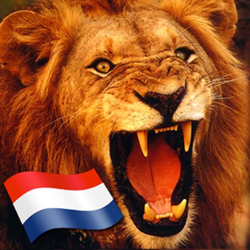 Oranje Soundboard WK 2014 Download