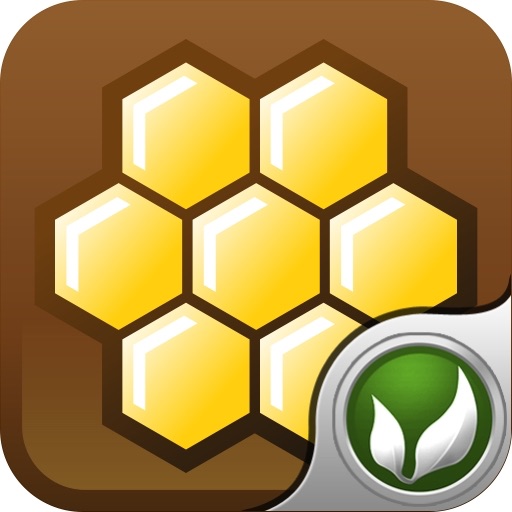 HoneyBear 2