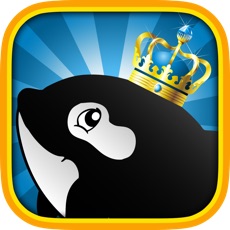 Activities of Whales of Fun Slots