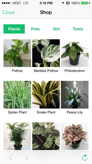 Waterbug Plant Care Guide(圖5)-速報App