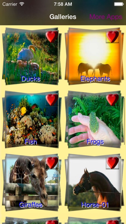 Animals Backgrounds and Wallpapers