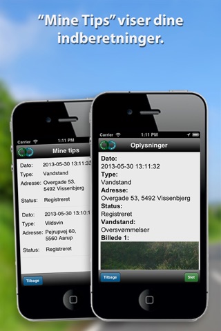 Vildsvin screenshot 3