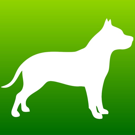 Pit Bull Quiz Icon