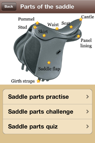 Physical Horse 2 - Equestrian Horsemanship Reference App screenshot 2